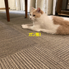 カワイイとオイシイ