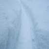 雪がひどすぎて住んでるところが災害救助法適用された