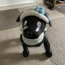 ゆたんぶろぐ