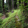 自宅の裏の水路の草刈り