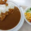 1/13 2200日目　名物のカレーライス