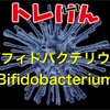 ビフィドバクテリウム（Bifidobacterium）