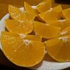 楽天で今年も紅まどんなを購入♪ 12月が一番甘いよ〜♪毎日ご飯