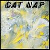 浅川マキのCD「CAT NAP」がようやく発売された