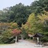 10/5～10/11　今週のまとめ　（2026-W41）