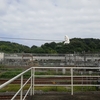 盆観音　空いてる電車を　ありがとう