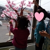 3月10日(木)　教室の飾り　🌸🌸🌸