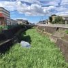 鳩川のほとりに住んだという 小豆とぎ婆の伝説（相模原市）