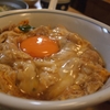 【この差って何ですか？】家庭で作る親子丼がプロの味に！？一般家庭で使われる食材・調理道具でふわとろの親子丼を作る方法を公開！