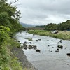5月24日(日)荒川柳大橋の河川情報