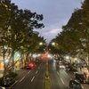Spring is totally here -建築と白子- / Art&Architecture＃527