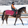 ２歳馬も名前が決定です。