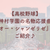 【高校野球】神村学園の名物応援曲『オーシャンゼリゼ』をご紹介！