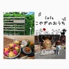 カフェ【こやぎのおうち】細い路地の奥にある可愛いカフェ