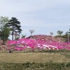 岩手県奥州市の染川芝桜公園〜東和温泉のルートでお出かけしてきました。
