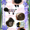 突然ですが・・・黒プーの凛が手術しました！