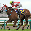 日曜競馬　回顧