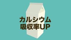ダンゴムシ飼育｜カルシウム吸収率を上げて疾患を予防