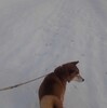 彼岸にはいっても…