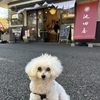 老舗の羊羹屋さん。