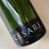 Piana dei Castelli - Spumante Rose Metodo Classico Extra Brut 2016