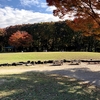 名古屋　名城公園　紅葉が見頃です