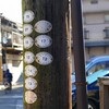 どこかにマイルで征く☆ツアートラベル旅行記2020冬（特別編）：呉の川原石駅エリアを散策しまくるぞ！