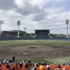 引き続き東海道で野球を見たよ！