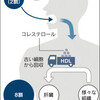 コレステロール摂取基準は撤廃　米国の新食生活指針
