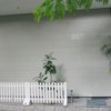 Nguyen Nhan Tao Nen Thanh Cong Cua Cuon A Chau