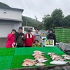 6月20日 土曜日