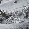 大雪の日は鴨鍋を食べて