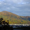 里山も庭でも紅葉真っ盛り