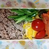 金曜日のそぼろご飯弁当