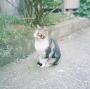 拡声器で独り言