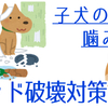 【対策】子犬がベッドをボロボロに【実験】