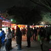 ２０１０年春・千葉城夜桜♪（千葉市中央区亥鼻）