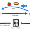 ふるさと納税でちょびリッチ