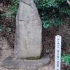受賞以来、半世紀近く経つ新発見