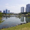 浜離宮恩賜庭園の桜を見に行ってきた　2025-04-08