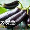 【栄養満点】ナスの驚くべき健康効果と栄養価｜カリウム・ナスニンの美容・ダイエット効果