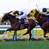 【競馬】波乱の菊花賞はアスクビクターモアがレコードV