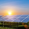 Die Surge von Photovoltaik-Händler in der EU und Ihren Wichtigkeit