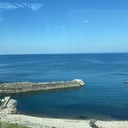 気がつけば“えほん”