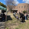 本日はダブルヘッダー、「南が丘公民館祭り」→「3.11を忘れない」秦野駅スタンディング