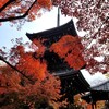 【京都】『真如堂』に行ってきました。 京都観光 そうだ京都行こう 京都紅葉
