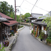 時期外れの吉野山