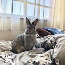 だいちくブログ