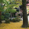 新神戸駅近くにある紅葉が美しい禅寺 徳光院