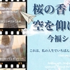 WEB小説紹介№068　「桜の香り、空を仰げば」「私にとってのゴール」今福シノさん